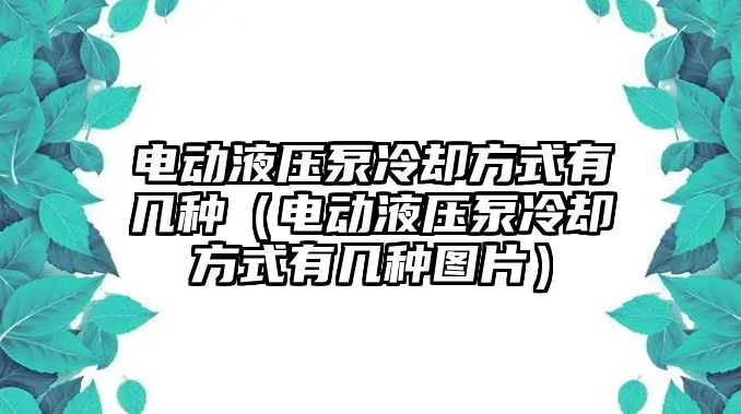 電動液壓泵冷卻方式有幾種（電動液壓泵冷卻方式有幾種圖片）