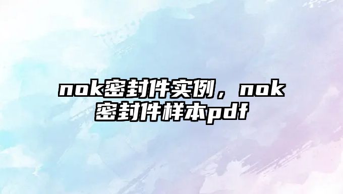 nok密封件實例，nok密封件樣本pdf