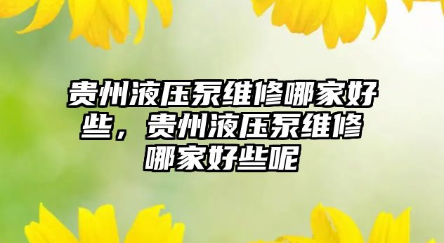 貴州液壓泵維修哪家好些，貴州液壓泵維修哪家好些呢