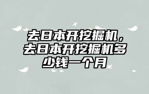 去日本開挖掘機，去日本開挖掘機多少錢一個月