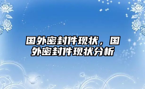 國外密封件現(xiàn)狀，國外密封件現(xiàn)狀分析