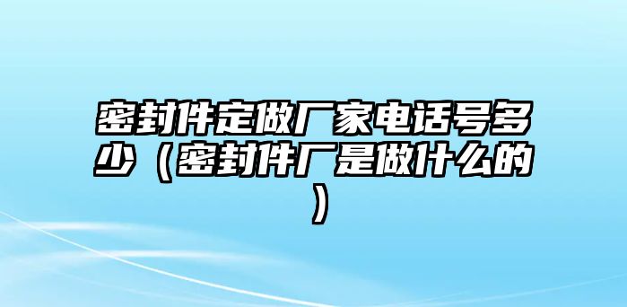 密封件定做廠家電話號多少（密封件廠是做什么的）