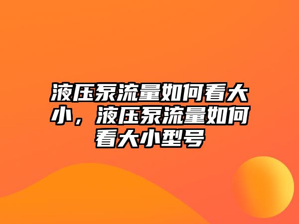 液壓泵流量如何看大小，液壓泵流量如何看大小型號(hào)