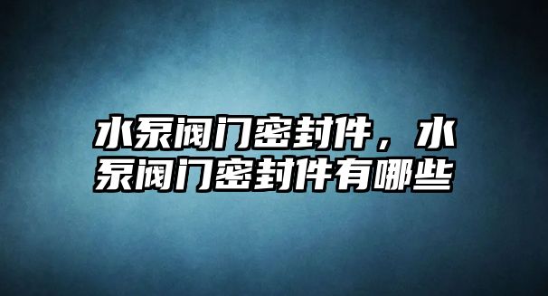 水泵閥門(mén)密封件，水泵閥門(mén)密封件有哪些