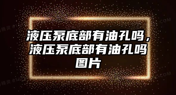 液壓泵底部有油孔嗎，液壓泵底部有油孔嗎圖片