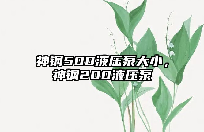 神鋼500液壓泵大小，神鋼200液壓泵