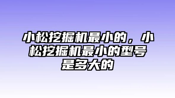 小松挖掘機最小的，小松挖掘機最小的型號是多大的