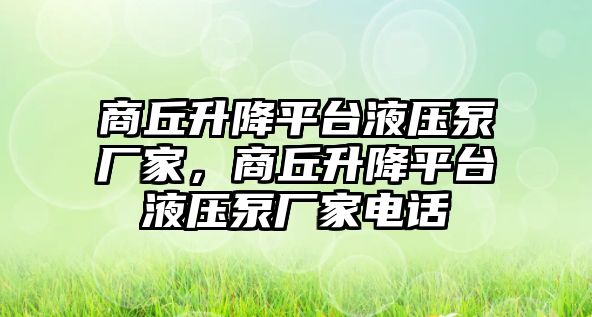 商丘升降平臺(tái)液壓泵廠家，商丘升降平臺(tái)液壓泵廠家電話