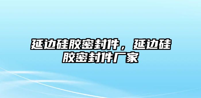 延邊硅膠密封件，延邊硅膠密封件廠家