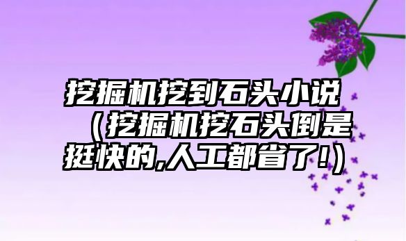 挖掘機挖到石頭小說（挖掘機挖石頭倒是挺快的,人工都省了!）