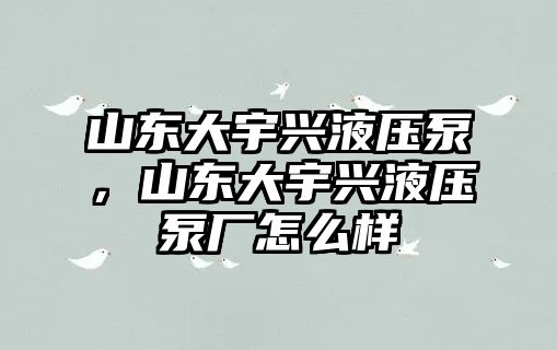 山東大宇興液壓泵，山東大宇興液壓泵廠怎么樣