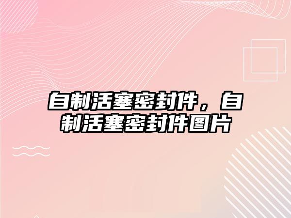 自制活塞密封件，自制活塞密封件圖片