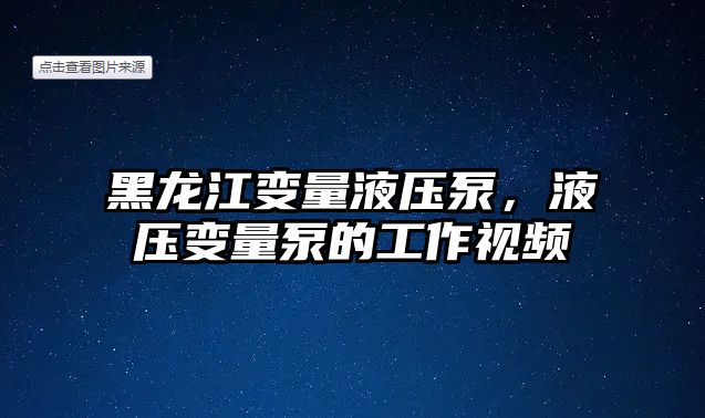 黑龍江變量液壓泵，液壓變量泵的工作視頻