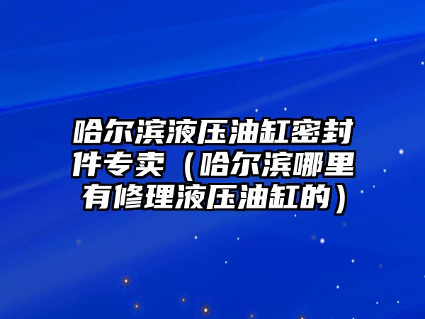 哈爾濱液壓油缸密封件專賣（哈爾濱哪里有修理液壓油缸的）