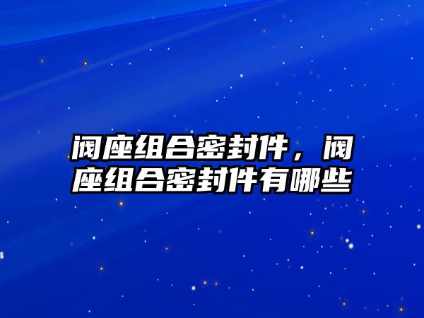 閥座組合密封件，閥座組合密封件有哪些