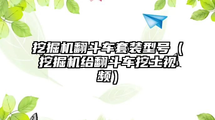 挖掘機翻斗車套裝型號（挖掘機給翻斗車挖土視頻）