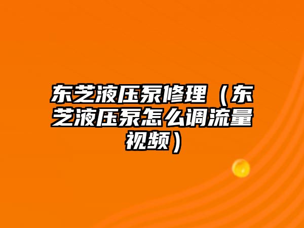 東芝液壓泵修理（東芝液壓泵怎么調流量視頻）