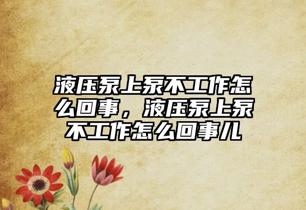 液壓泵上泵不工作怎么回事，液壓泵上泵不工作怎么回事兒