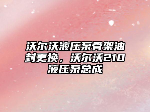 沃爾沃液壓泵骨架油封更換，沃爾沃210液壓泵總成