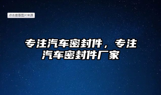 專注汽車密封件，專注汽車密封件廠家