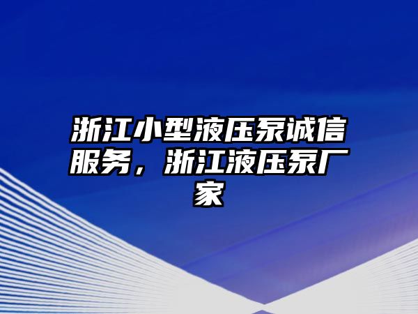 浙江小型液壓泵誠信服務(wù)，浙江液壓泵廠家