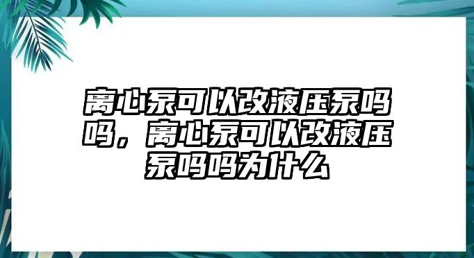 離心泵可以改液壓泵嗎嗎，離心泵可以改液壓泵嗎嗎為什么