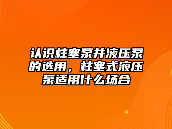 認識柱塞泵并液壓泵的選用，柱塞式液壓泵適用什么場合