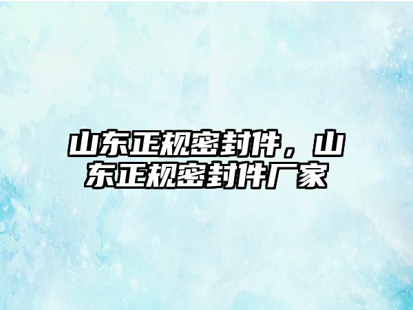 山東正規(guī)密封件，山東正規(guī)密封件廠家