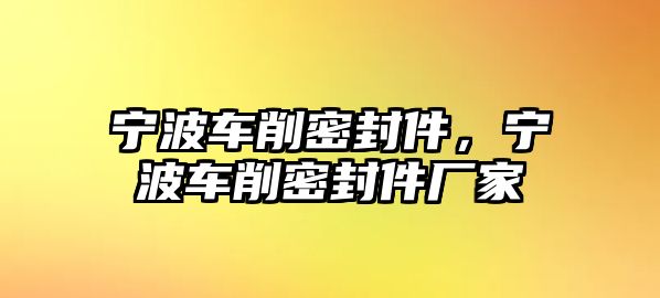 寧波車削密封件，寧波車削密封件廠家