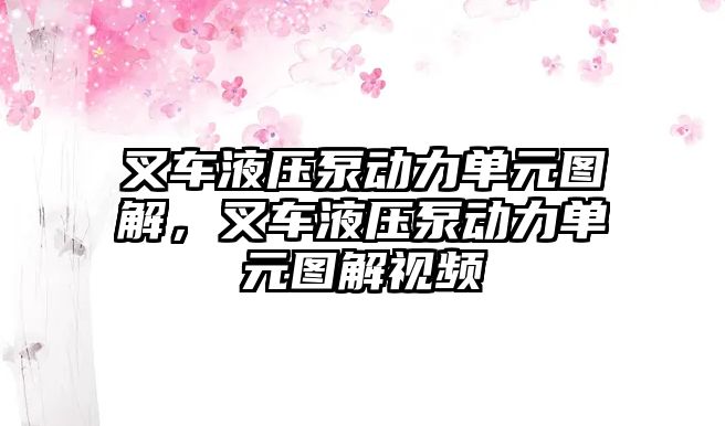 叉車液壓泵動力單元圖解，叉車液壓泵動力單元圖解視頻