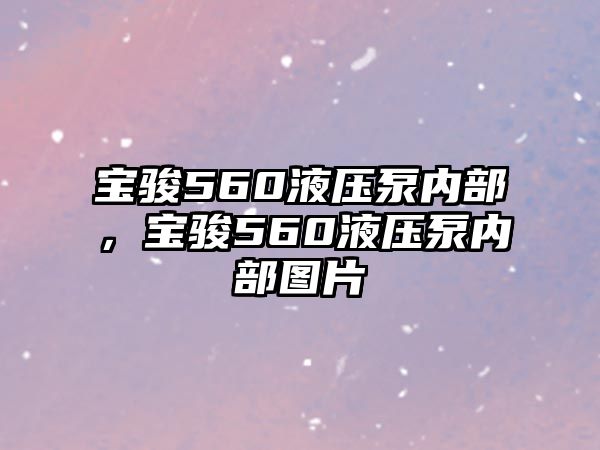 寶駿560液壓泵內(nèi)部，寶駿560液壓泵內(nèi)部圖片