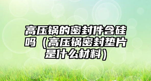 高壓鍋的密封件含硅嗎（高壓鍋密封墊片是什么材料）