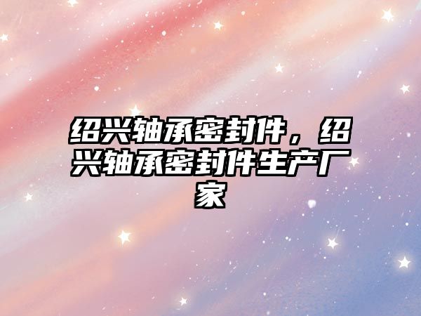 紹興軸承密封件，紹興軸承密封件生產(chǎn)廠家