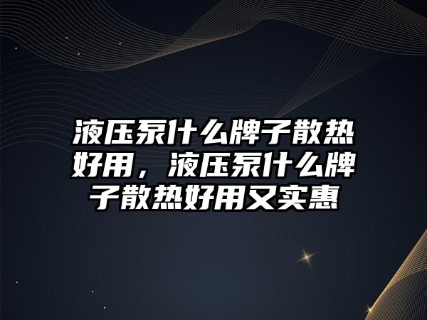 液壓泵什么牌子散熱好用，液壓泵什么牌子散熱好用又實(shí)惠