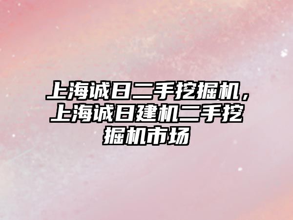 上海誠日二手挖掘機(jī)，上海誠日建機(jī)二手挖掘機(jī)市場