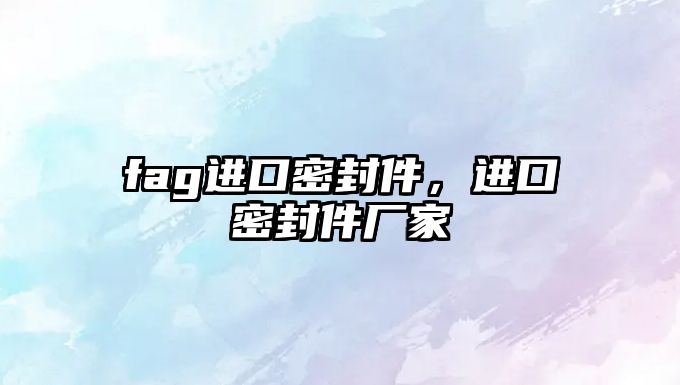 fag進(jìn)口密封件，進(jìn)口密封件廠家