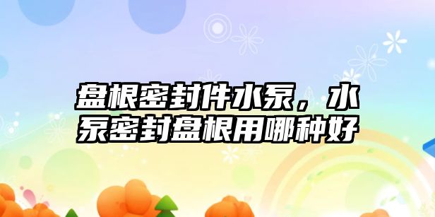 盤根密封件水泵，水泵密封盤根用哪種好