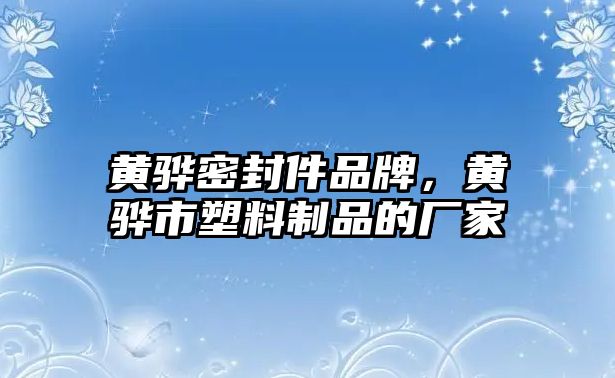 黃驊密封件品牌，黃驊市塑料制品的廠家