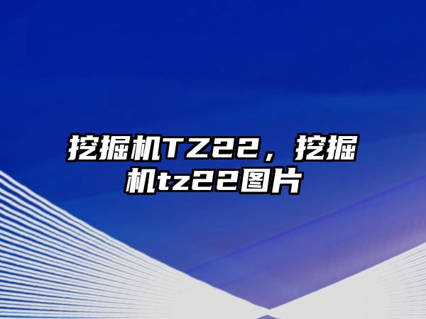 挖掘機TZ22，挖掘機tz22圖片