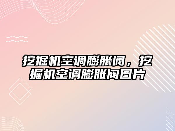 挖掘機空調膨脹閥，挖掘機空調膨脹閥圖片