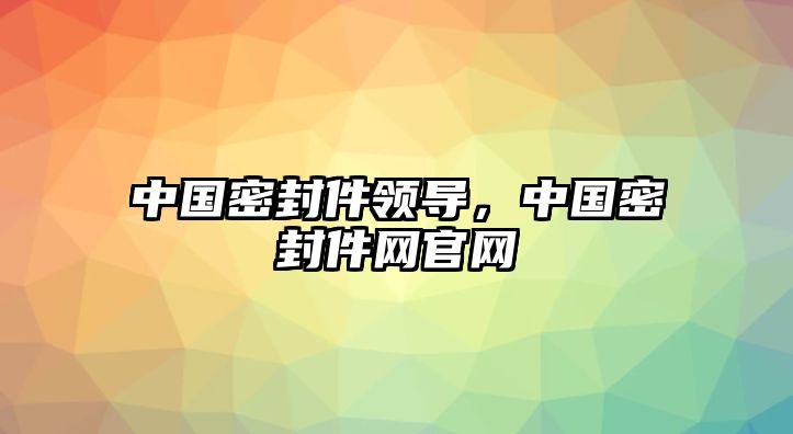 中國(guó)密封件領(lǐng)導(dǎo)，中國(guó)密封件網(wǎng)官網(wǎng)