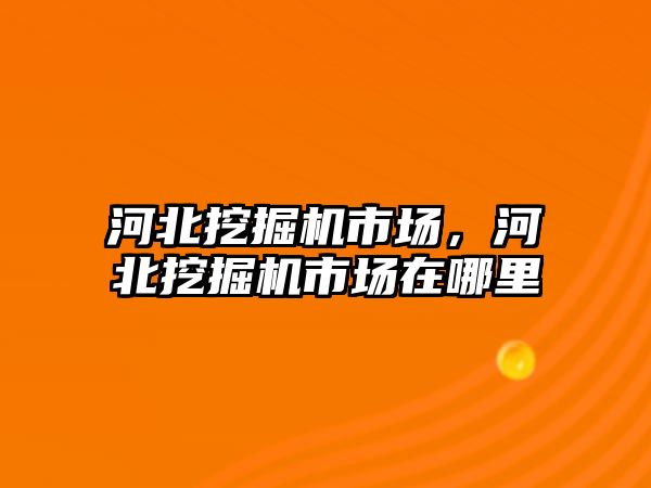 河北挖掘機(jī)市場(chǎng)，河北挖掘機(jī)市場(chǎng)在哪里