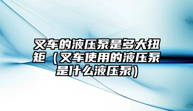 叉車的液壓泵是多大扭矩（叉車使用的液壓泵是什么液壓泵）