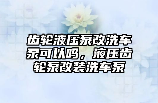 齒輪液壓泵改洗車泵可以嗎，液壓齒輪泵改裝洗車泵