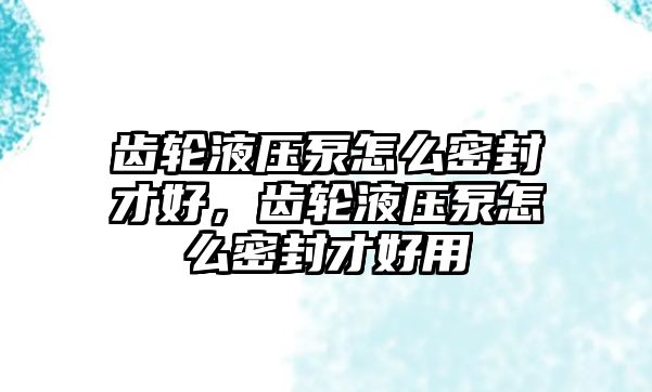 齒輪液壓泵怎么密封才好，齒輪液壓泵怎么密封才好用