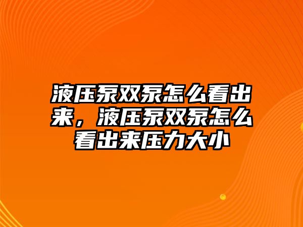 液壓泵雙泵怎么看出來，液壓泵雙泵怎么看出來壓力大小