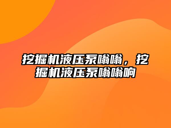 挖掘機液壓泵嗡嗡，挖掘機液壓泵嗡嗡響