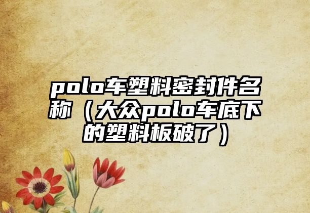 polo車塑料密封件名稱（大眾polo車底下的塑料板破了）