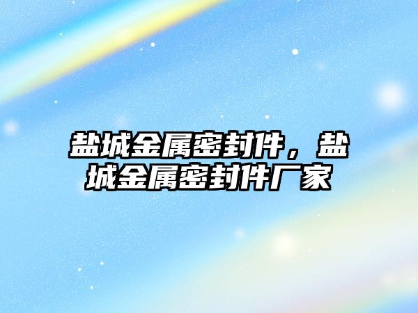 鹽城金屬密封件，鹽城金屬密封件廠家