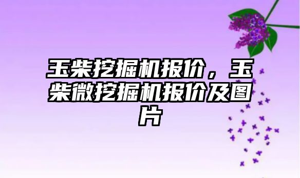 玉柴挖掘機報價，玉柴微挖掘機報價及圖片